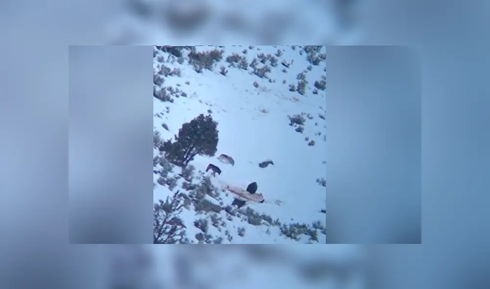 Desliza para ver los momentos más impactantes del video que se hizo viral en Facebook. Desliza para ver los momentos más impactantes del video que se hizo viral en Facebook.