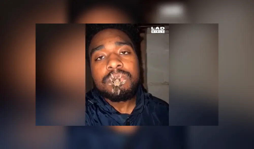 Chico abre la boca y expulsa venenosa criatura en plena transmisión en vivo [VIDEO]