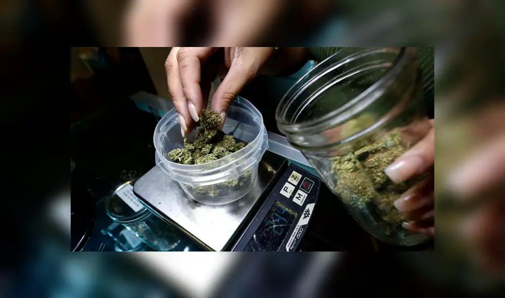 Estados Unidos: inician Año Nuevo con venta legal de marihuana recreativa