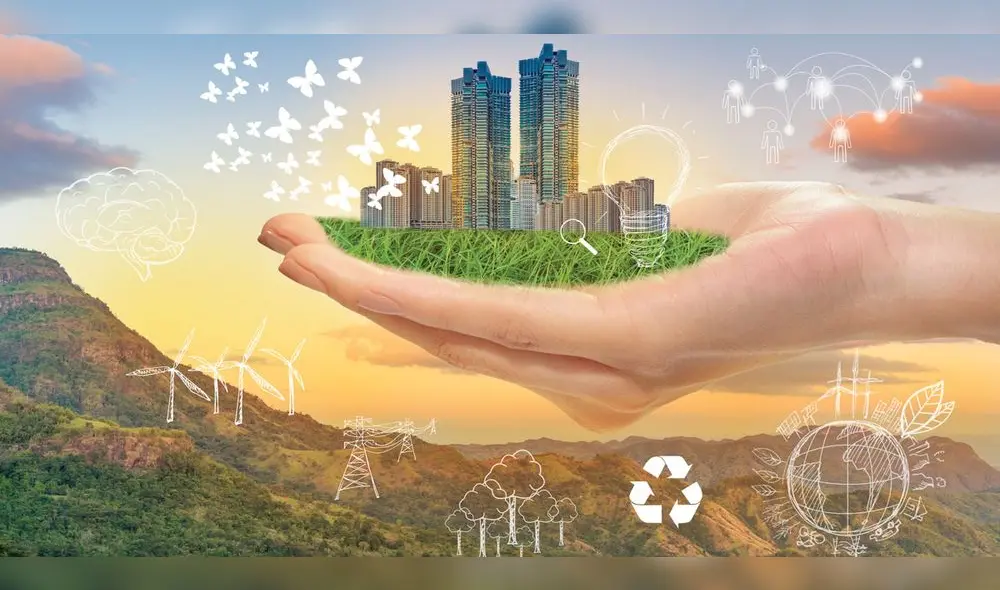 empresa carbono neutral