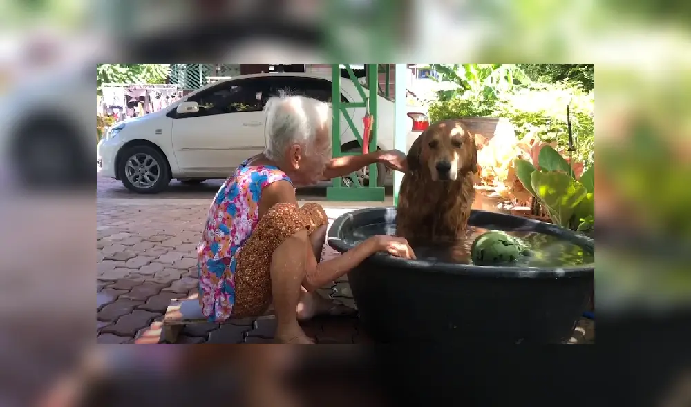 Desliza las imágenes para ver más detalles de esta tierna escena que es viral en YouTube.