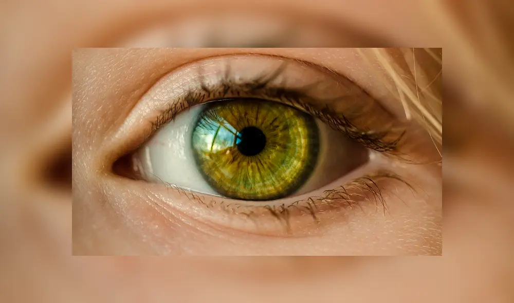 La retinopatía se presenta en las personas que sufren diabetes.