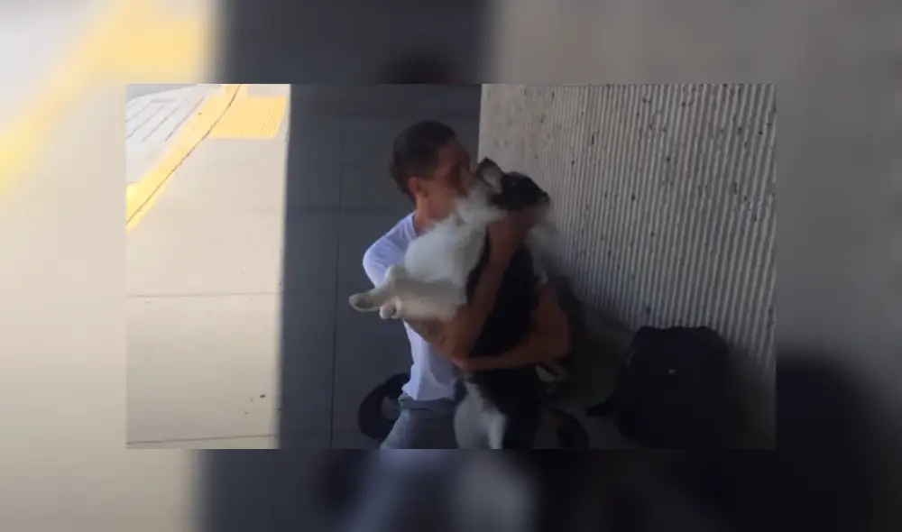 En YouTube se hizo viral el conmovedor reencuentro entre un perro y su dueño.