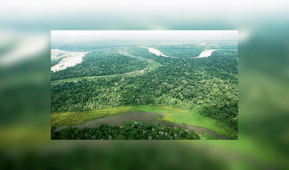 Parque Nacional de Yaguas (Foto: Andina) Parque Nacional de Yaguas (Foto: Andina)