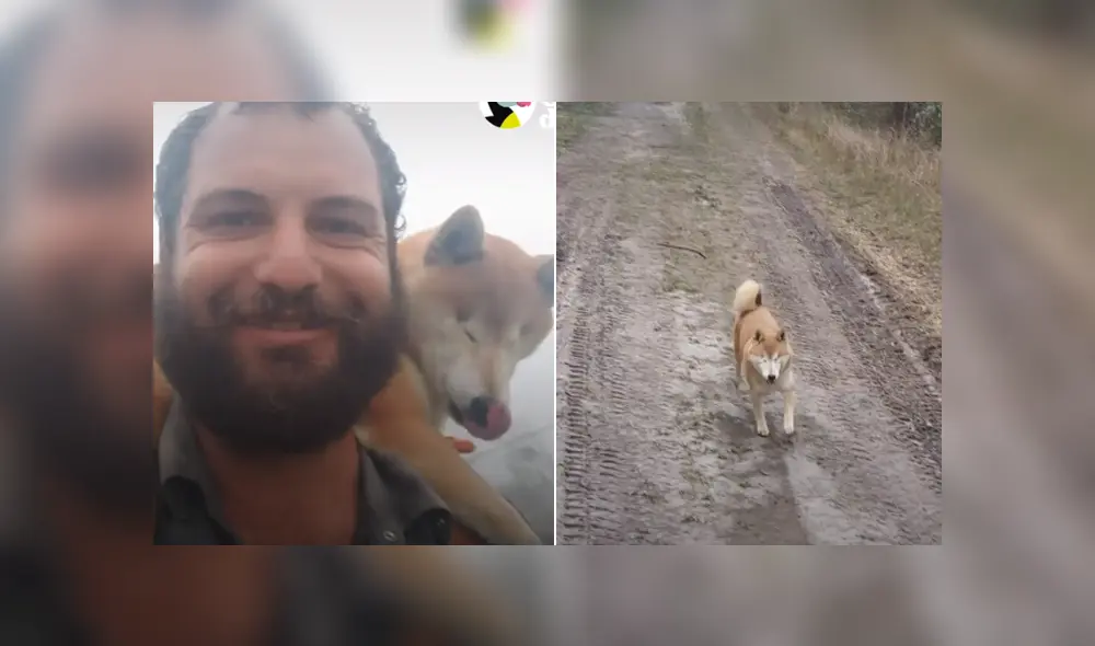 La perrita quedó ciega por un glaucoma en los ojos y su dueño la ayudó a recuperar su confianza para excurisonar. Foto El Dodo / Facebook La perrita quedó ciega por un glaucoma en los ojos y su dueño la ayudó a recuperar su confianza para excurisonar. Foto El Dodo / Facebook