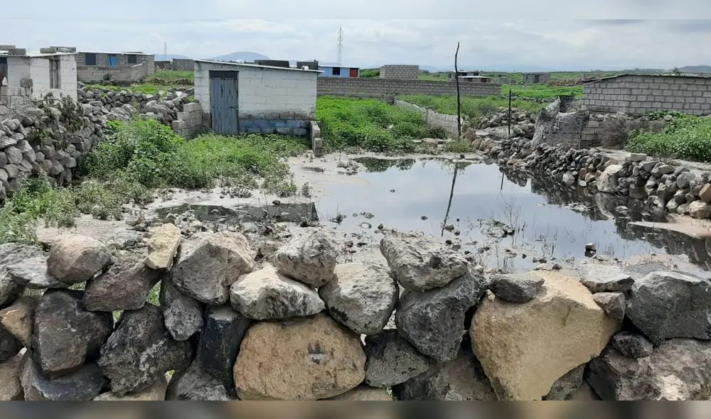 Vecinos denunciaron que sus viviendas y calles se inundaron, luego que habría desbordado la poza del botadero