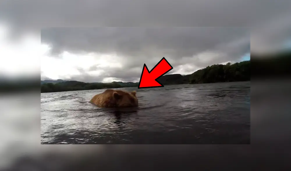 Vía Facebook. Hombre recorría un río en busca de su botín sin imaginar que sería testigo de una extraordinaria escena