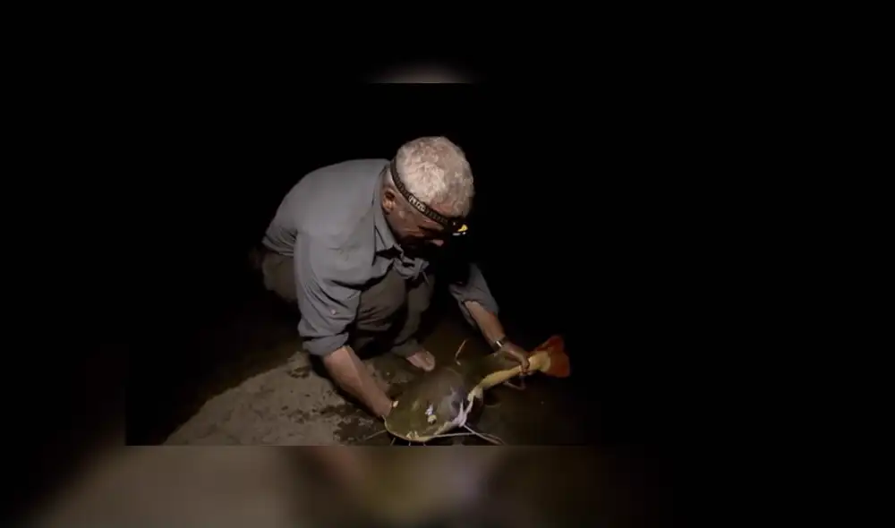 Desliza hacia la izquierda para ver al extraño animal que capturó Jeremy Wade. Foto: Monstruos de río