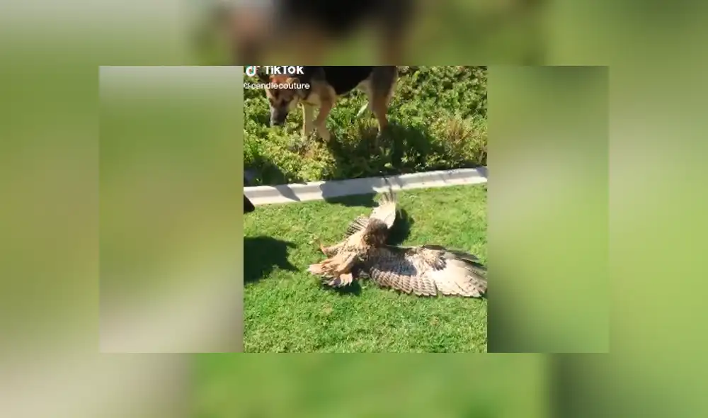 Desliza para ver todas las imágenes de Facebook. Foto: captura