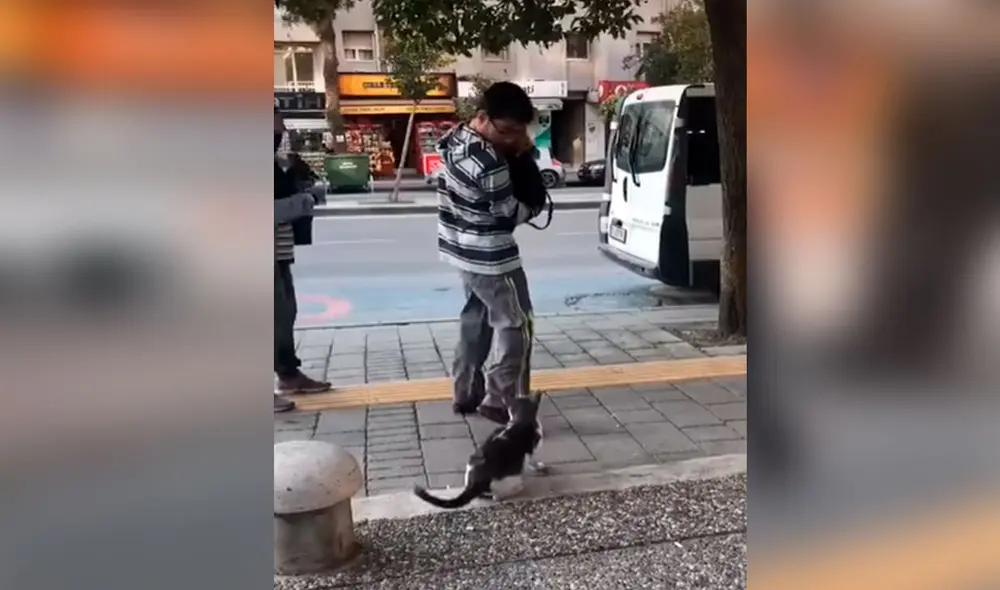 Desliza las imágenes para descubrir la curiosa acción de un gato cuando las personas pasan por su lado. Foto: captura de TikTok