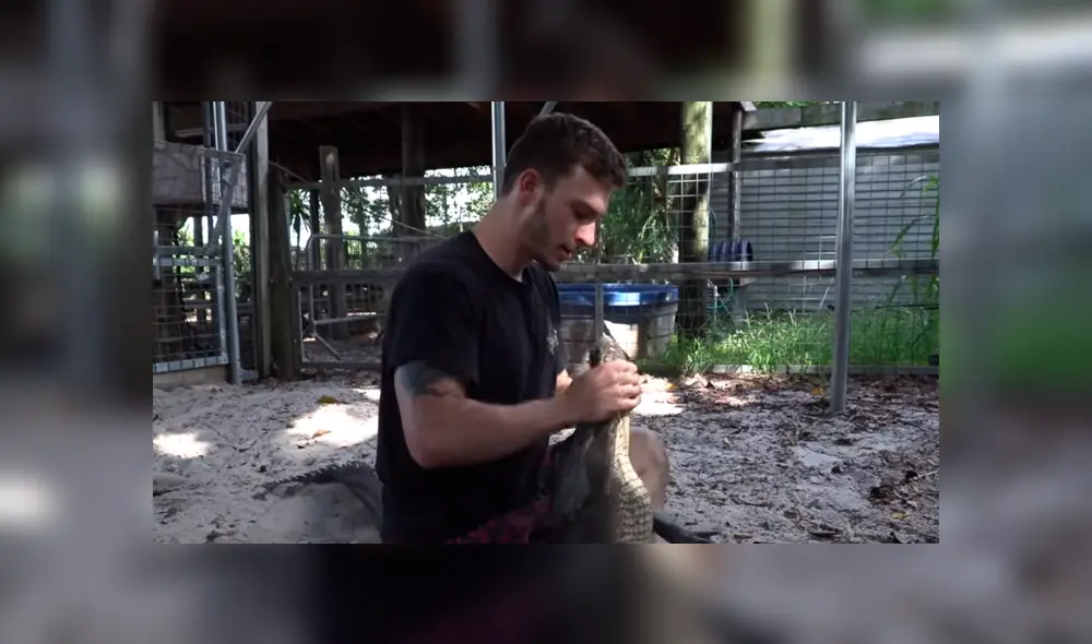 Un video viral de YouTube registró el momento en que un hombre ingresó a la piscina de un cocodrilo. Un video viral de YouTube registró el momento en que un hombre ingresó a la piscina de un cocodrilo.