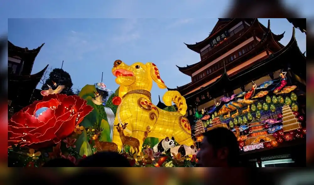 Año Nuevo Chino: Una nueva oportunidad para los perros en el país asiático