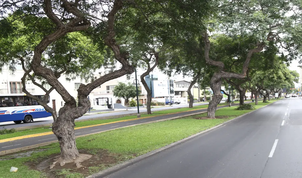 En Lima este la mínima temperatura será de 14 grados.