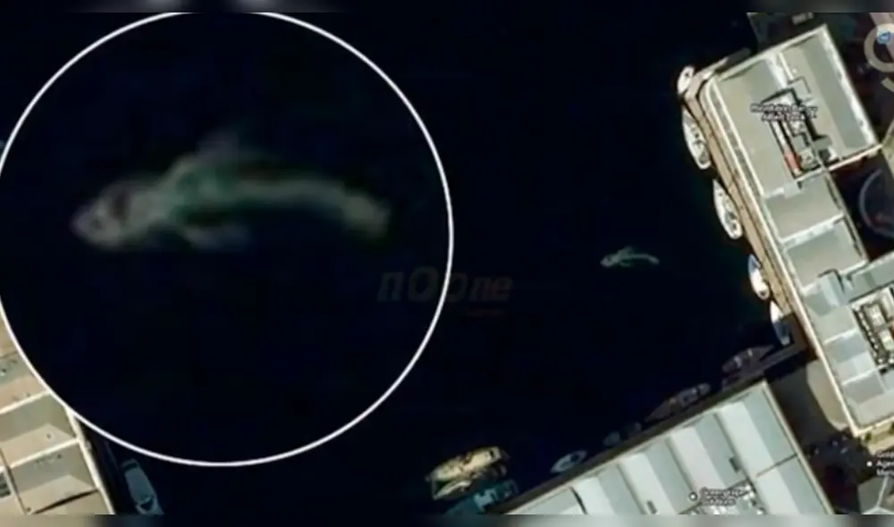Google Maps habría captado 5 'monstruos' en el mar y fotos causan miedo