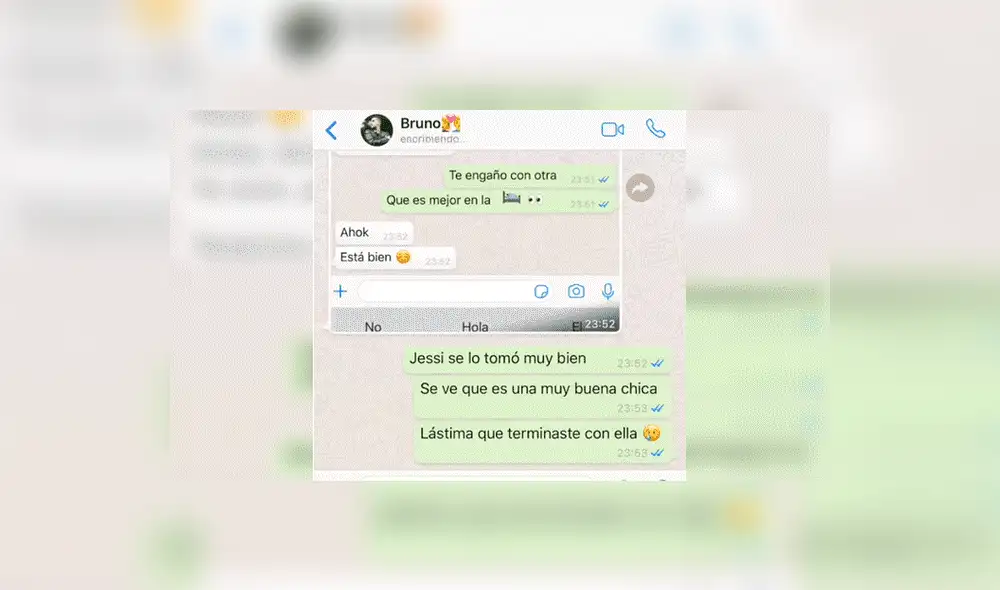 WhatsApp: Joven totalmente ebrio termina revelando oscuro secreto a su novia [FOTOS]