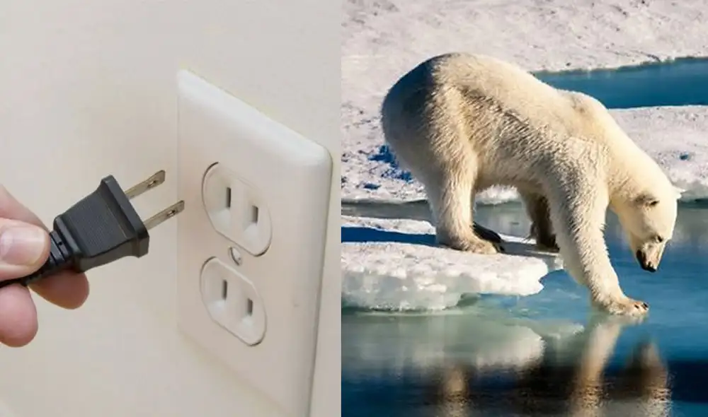 Acciones simples tienen gran impacto en la lucha contra el cambio climático. Foto: difusión/ AFP