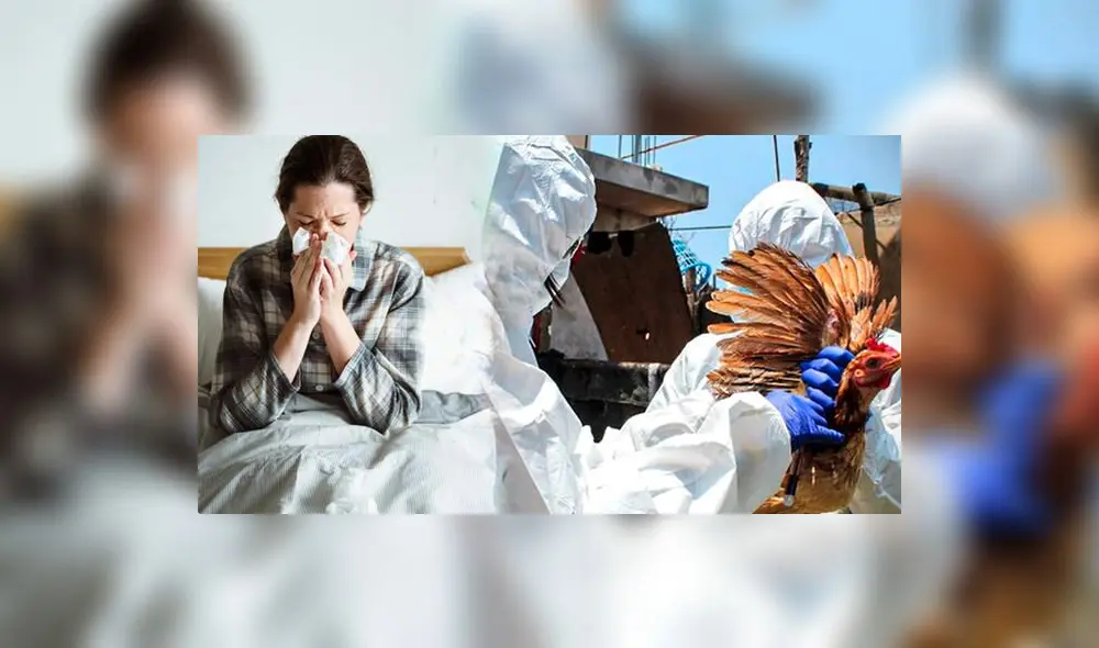 Ciudadanía debe estar alerta ante posibles contagios. Foto: El Popular