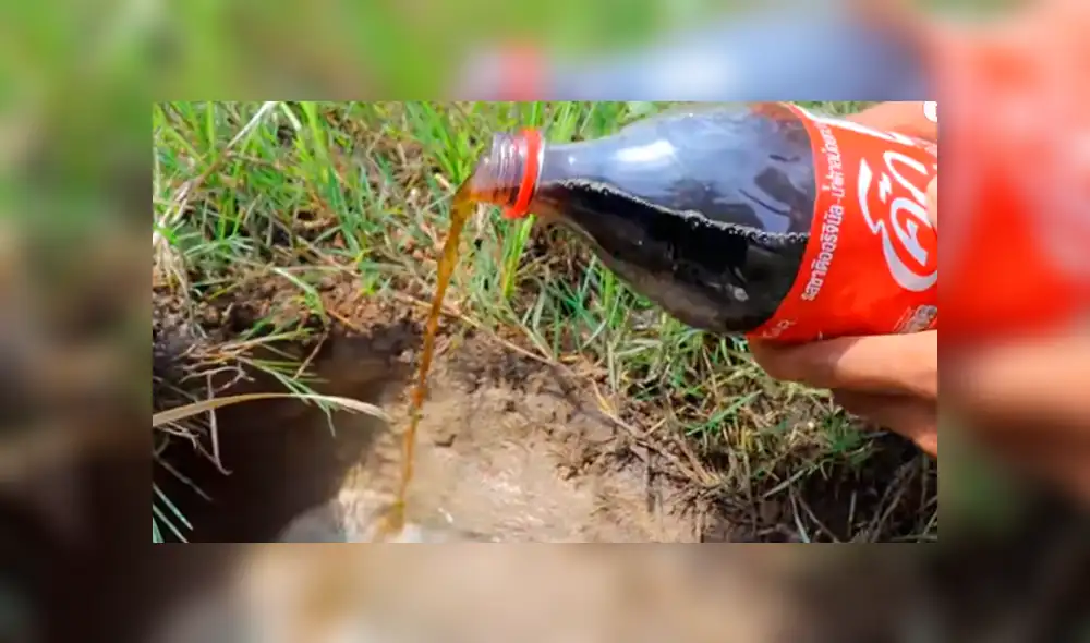 Desliza hacia la izquierda para ver las imágenes de YouTube sobre el hallazgo que hizo un joven tras colocar Coca Cola y mentos en el interior de un hoyo.