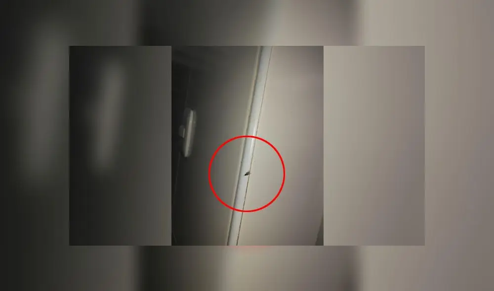 Cierre es solo por 7 días, hasta que los propietarios subsanen todas las observaciones que garanticen un óptimo servicio a los cliente. (Foto: Municipalidad de La Molina) Cierre es solo por 7 días, hasta que los propietarios subsanen todas las observaciones que garanticen un óptimo servicio a los cliente. (Foto: Municipalidad de La Molina)