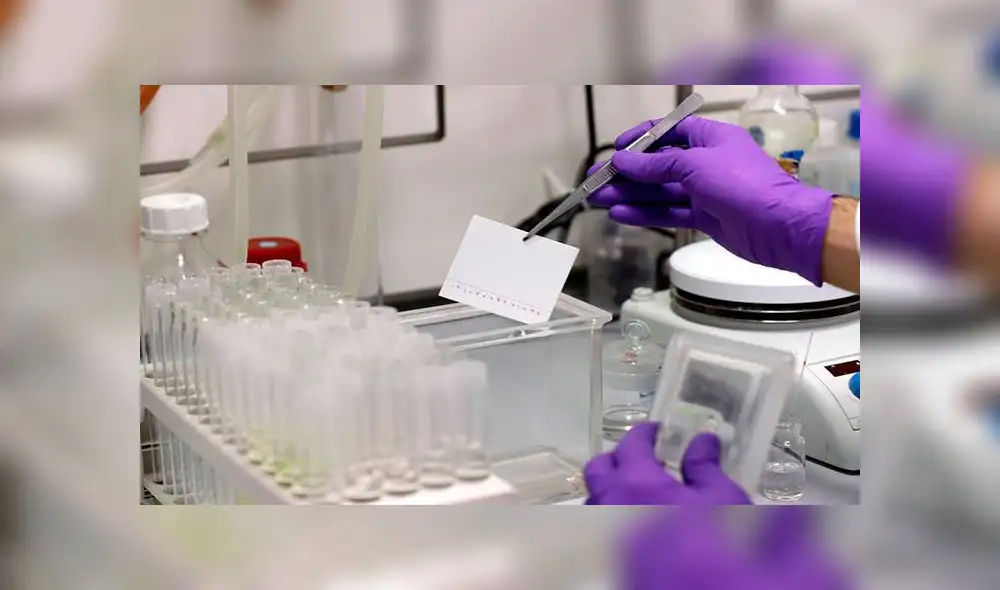 Técnicos de laboratorio trabajan en la empresa PharmaMar. Foto: EFE Técnicos de laboratorio trabajan en la empresa PharmaMar. Foto: EFE