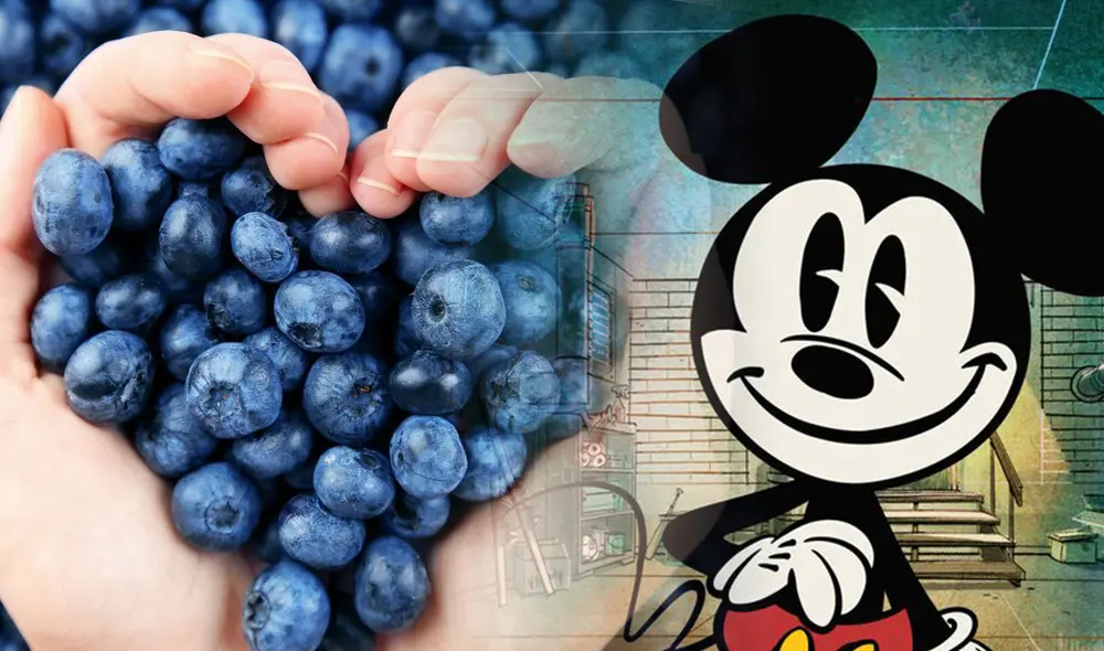 Arándanos china Arándanos china