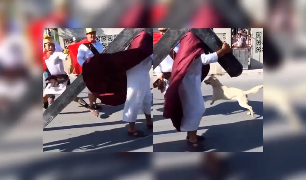 Facebook viral: perro 'creyente' ataca a 'soldados romanos' que azotaban a 'Jesús' [VIDEO]
