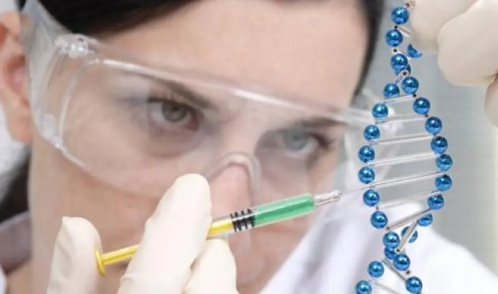 ADN. Foto: referencial / Instituto Recell ADN. Foto: referencial / Instituto Recell