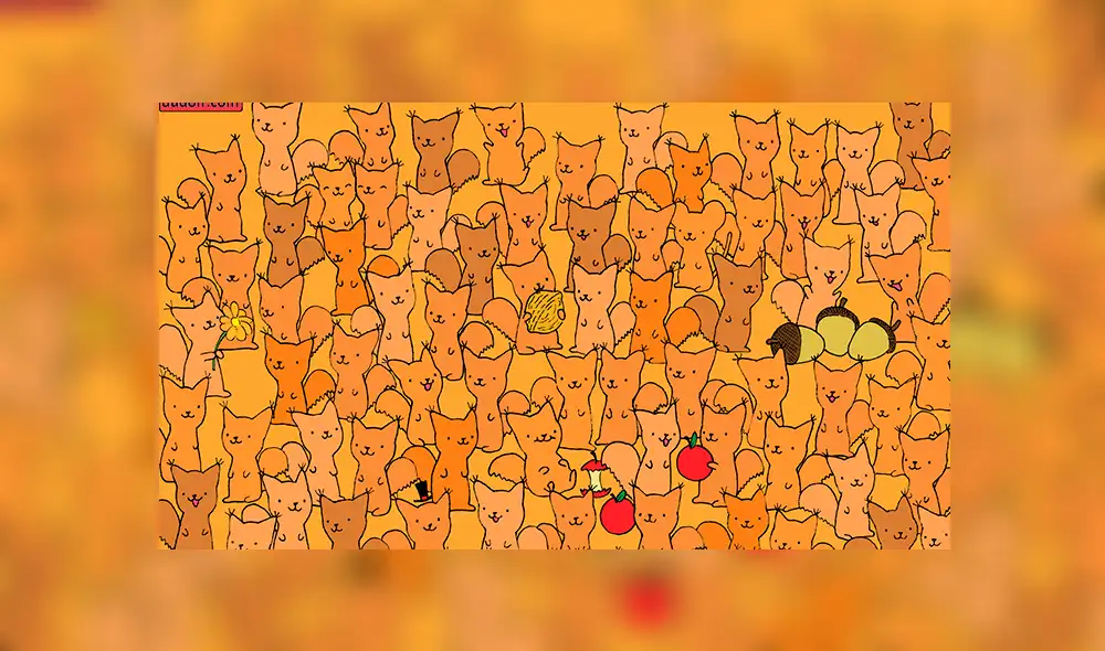 Facebook viral: halla al ratón escondido entre zorros de colores, el nuevo reto visual que casi nadie puede resolver Facebook viral: halla al ratón escondido entre zorros de colores, el nuevo reto visual que casi nadie puede resolver