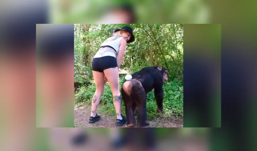 YouTube viral: joven mujer realiza atrevido baile, mono la imita y final conmueve [VIDEO]