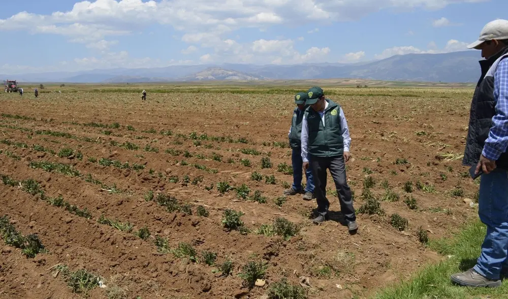 A través de la Resolución Ministerial N° 0603-2022-Midagri, se detalla las medidas a tomar para mitigar el impacto de las sequías en 17 regiones del país. Foto: Andina