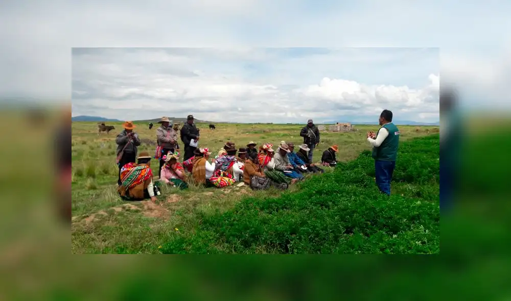 Puno: Continúan capacitaciones para siembra de pastos. 