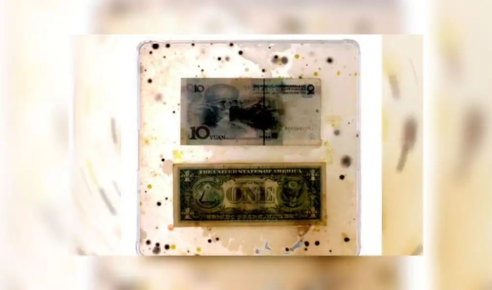 Estudio demuestra que cada billete tiene más de 3000 bacterias de la boca y los genitales