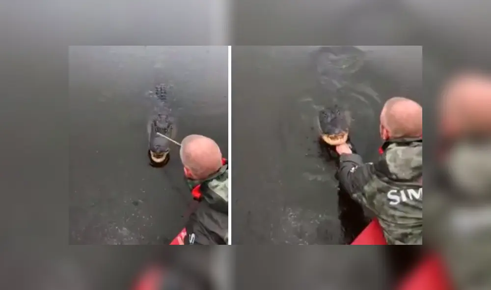 Turista que grabó el video viral de Facebook toca los colmillos de gigantesco cocodrilo, sin imaginar lo que pasaría con sus manos. Turista que grabó el video viral de Facebook toca los colmillos de gigantesco cocodrilo, sin imaginar lo que pasaría con sus manos.