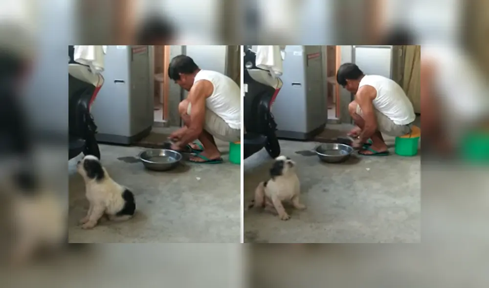 Desliza hacia la izquierda para ver la escena que causó furor en Facebook.