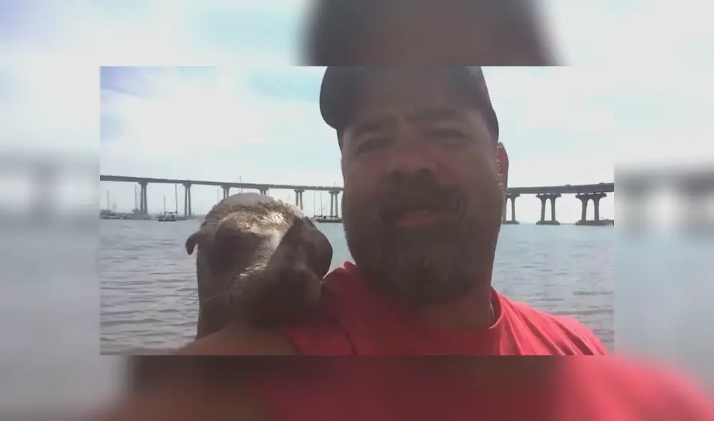 Pescador fue sorprendido por adorable animal marino que no quiso despejarse de él.