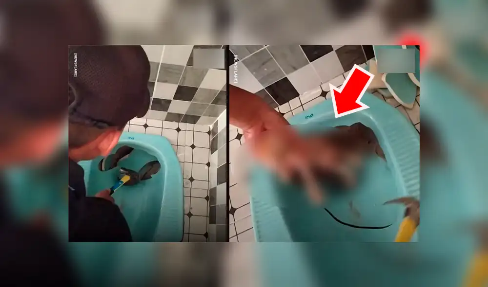 Escucha desgarradores ruidos de bañera, la destruye y encuentra insólita criatura [VIDEO] 