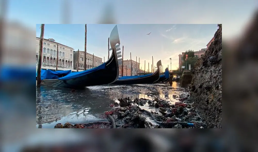 Venecia es perjudicada por periodo de sequía. Foto: AP/Luigi Costantini