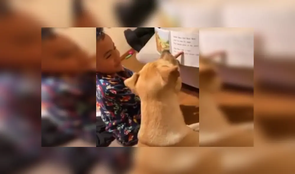 Desliza las imágenes para ver más detalles de esta escena que es viral en YouTube. Desliza las imágenes para ver más detalles de esta escena que es viral en YouTube.