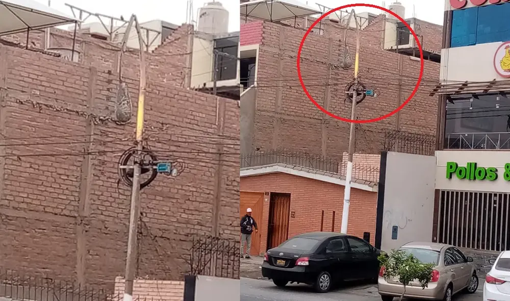 Piden retirar y reemplazar la estructura. Piden retirar y reemplazar la estructura.