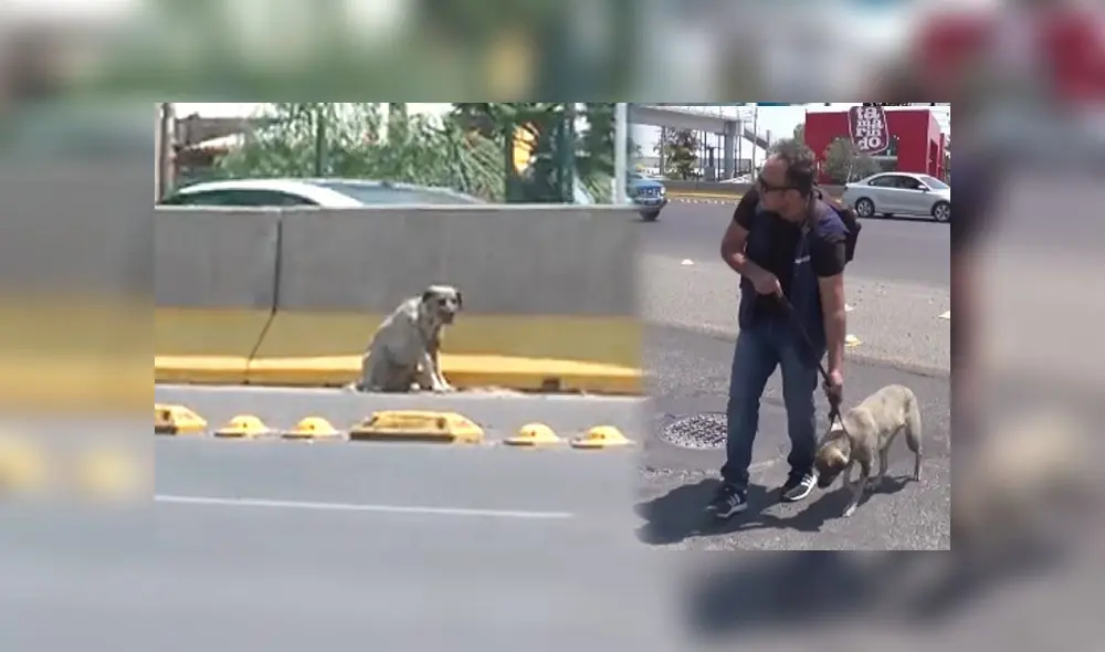Desliza las imágenes para conocer el desenlace de esta tierna historia que es viral en Facebook Foto: Rafael Figueroa Desliza las imágenes para conocer el desenlace de esta tierna historia que es viral en Facebook Foto: Rafael Figueroa