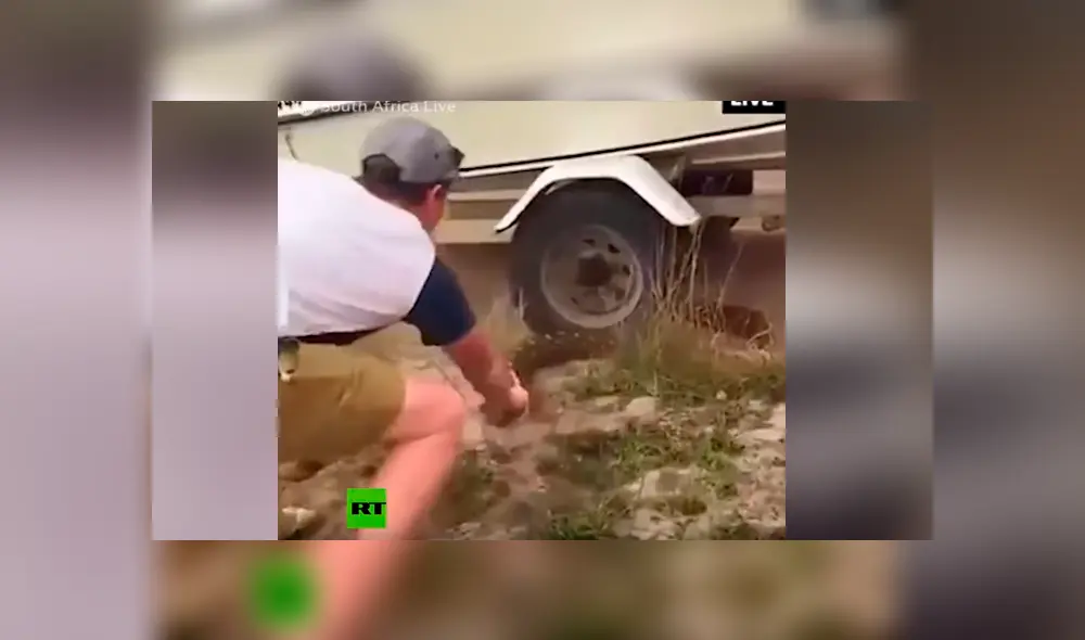 Turistas tratan de escapar de hambrienta serpiente, sin sospechar que reptil haría lo impensado [VIDEO]
