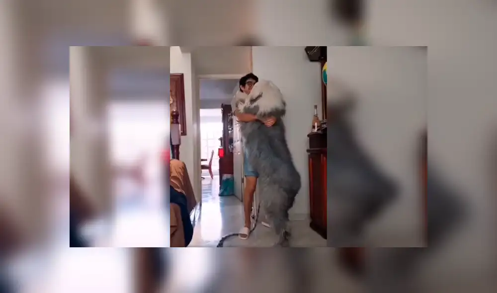 Desliza las imágenes hacia la izquierda para conocer los graciosos movimientos que hizo un joven junto a su perro. Foto: Captura.