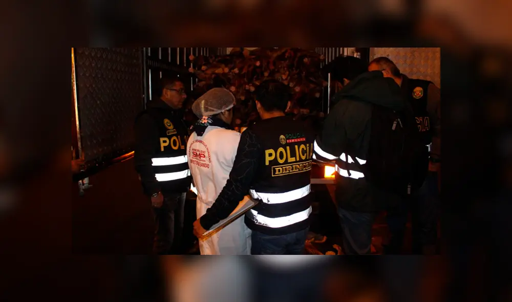 Carne de equino Carne de equino