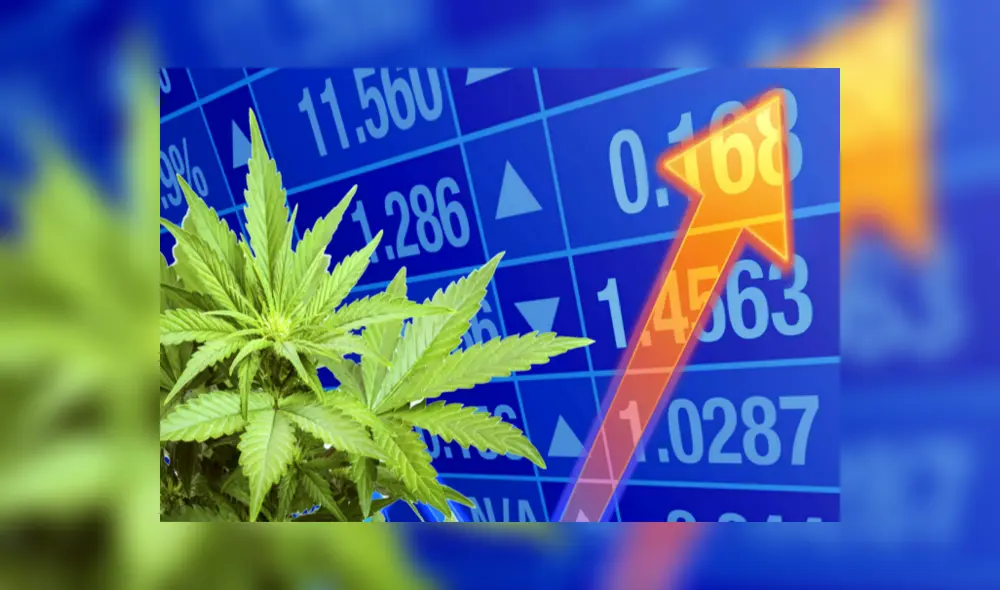 La marihuana medicinal se estrena hoy en la Bolsa de Valores de Lima