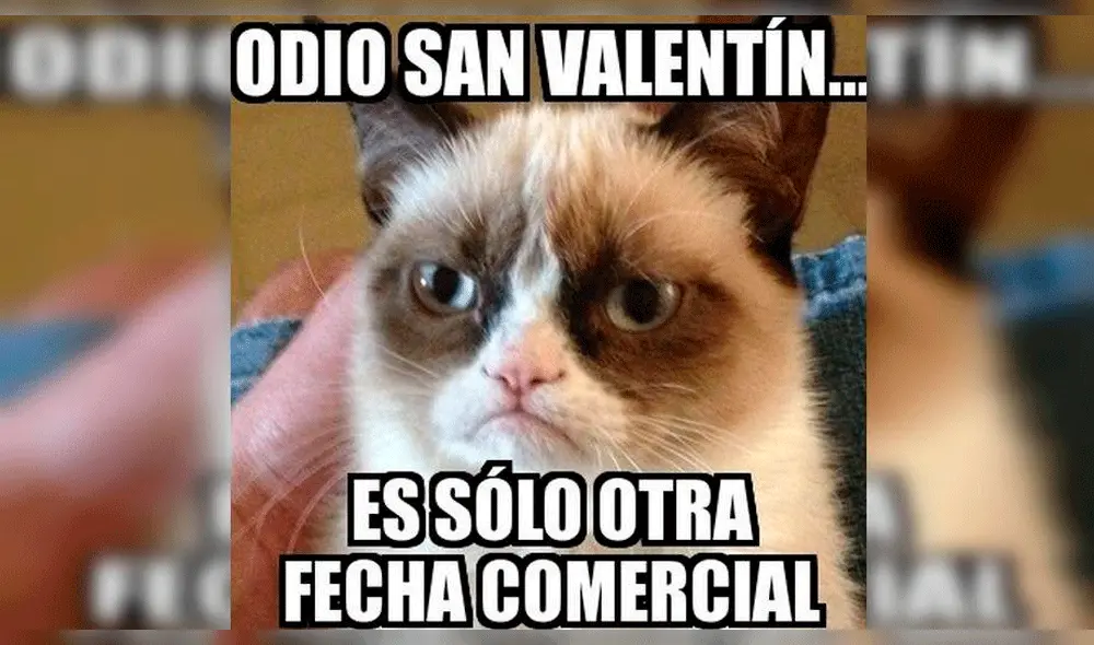 San Valentín: los memes más graciosos para compartir en WhatsApp y Facebook [FOTOS]