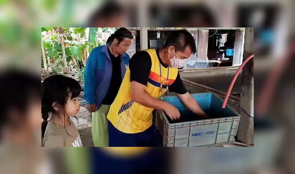 Desliza para ver los detalles del video viral publicado en YouTube. Foto: Captura. Desliza para ver los detalles del video viral publicado en YouTube. Foto: Captura.