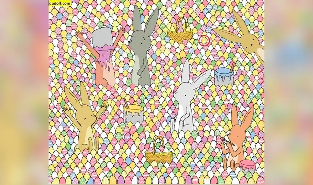 Estos conejos intentan encontrar un huevo con un corazón en el centro. Ayúdalos a encontrarlo. Foto: dudolf