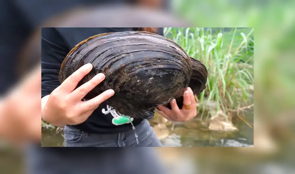 Desliza a la izquierda para ver el descubrimiento que ha sorprendido a los usuarios de YouTube. Foto: Captura. Desliza a la izquierda para ver el descubrimiento que ha sorprendido a los usuarios de YouTube. Foto: Captura.