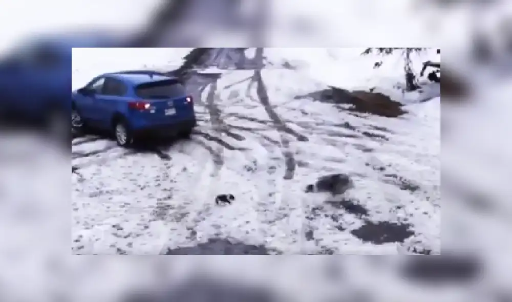 Desliza las imágenes para ver más sobre esta valerosa acción que se hizo viral en YouTube. (Foto: captura) Desliza las imágenes para ver más sobre esta valerosa acción que se hizo viral en YouTube. (Foto: captura)