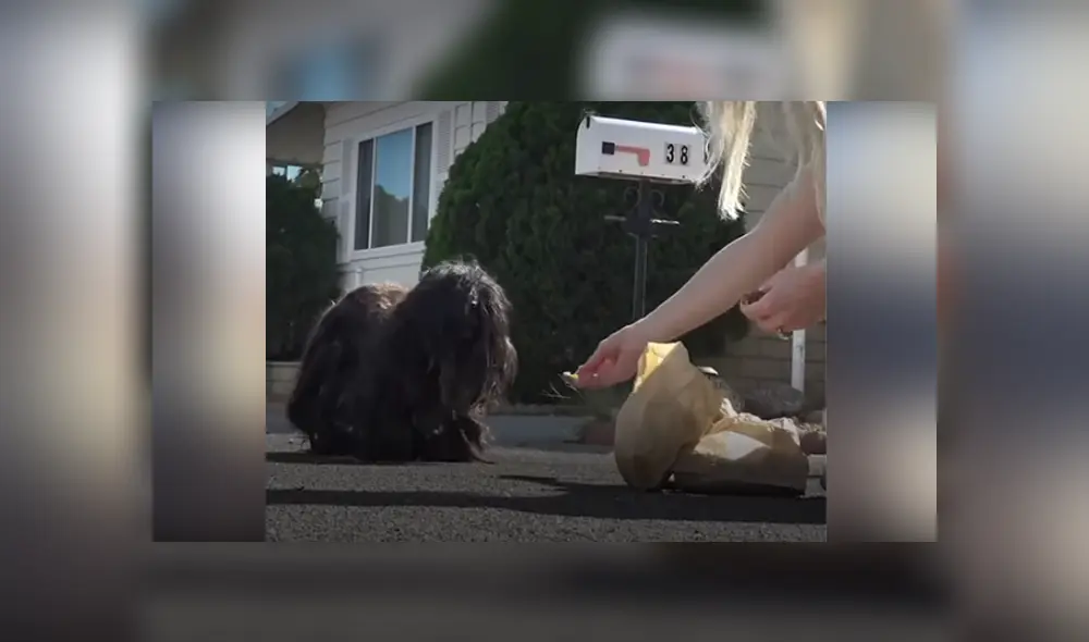 Desliza hacia la izquierda para ver las imágenes del viral de YouTube. Foto: Captura. Desliza hacia la izquierda para ver las imágenes del viral de YouTube. Foto: Captura.